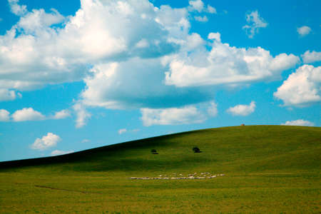 Hulunbuir pasture land の写真素材