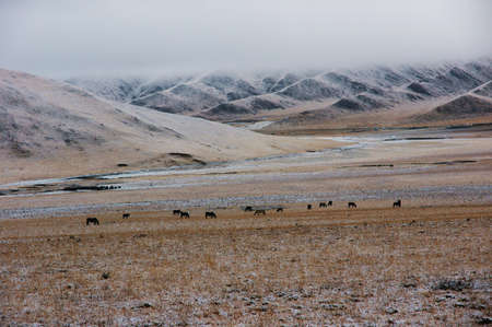 The autumn grassland in Chinaの写真素材