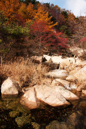 beautiful autumn scenery of Chinaの写真素材