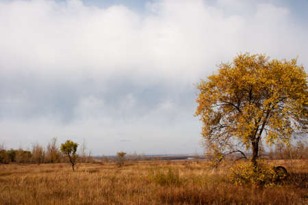 Prairie autumnの写真素材