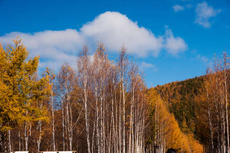 Mordaga autumn sceneryの写真素材