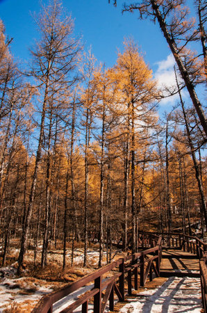 Mordaga autumn scenery