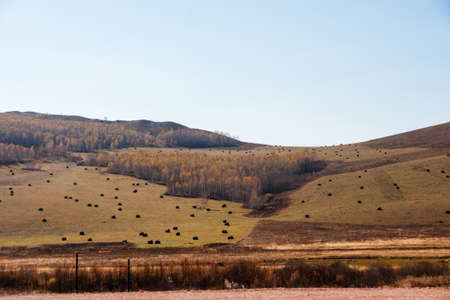 Prairie autumnの写真素材