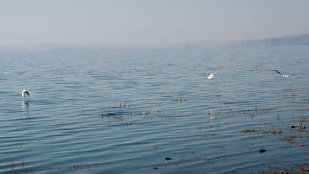 China Hulunの写真素材