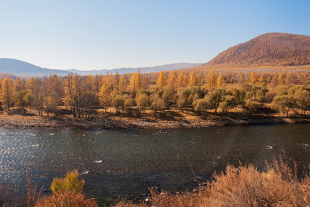 river in the autumn