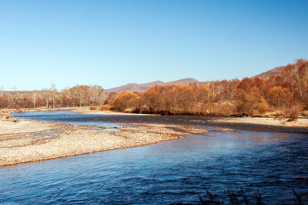 river in the autumn