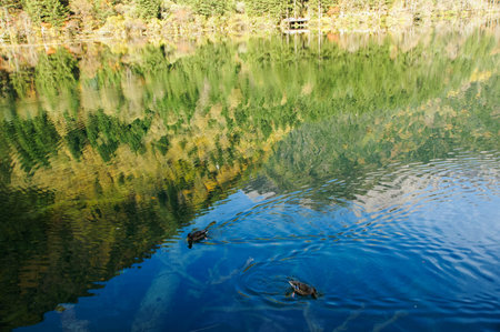Jiuzhaigou, Sichuan, China