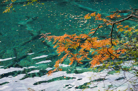 Lake in Jiuzhaigou, Sichuan, Chinaの写真素材
