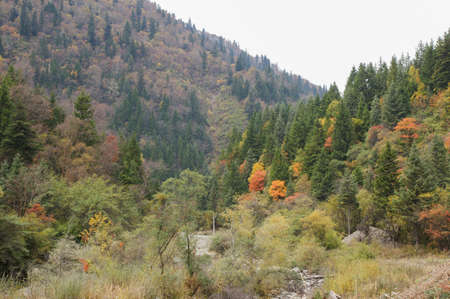 China Sichuan autumn sceneryの写真素材
