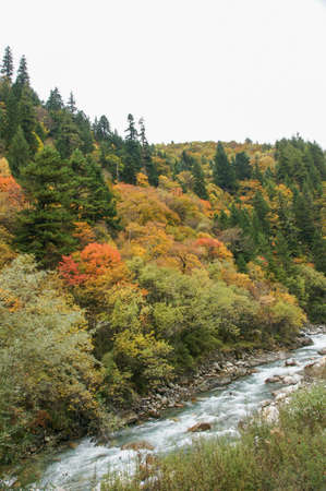 China Sichuan autumn sceneryの写真素材