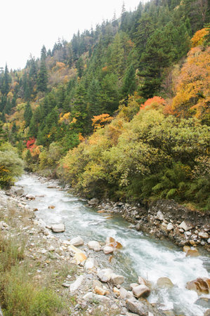 China Sichuan autumn scenery