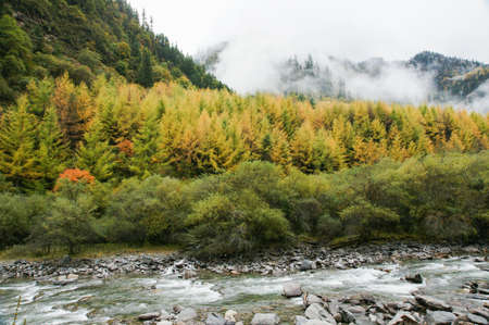 China Sichuan autumn sceneryの写真素材