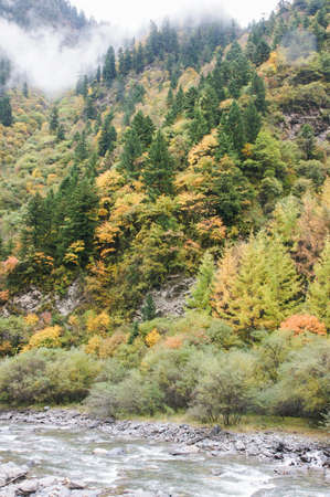 China Sichuan autumn sceneryの写真素材