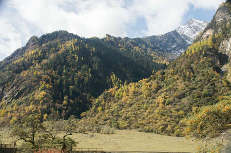 China Sichuan autumn sceneryの写真素材