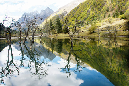 China Sichuan autumn scenery