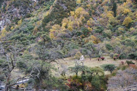 China Sichuan autumn sceneryの写真素材