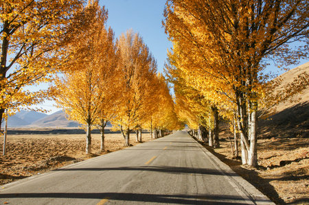 Landscape scenery of Daocheng County, Sichuanの写真素材