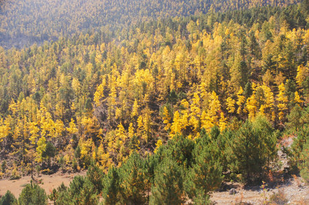 Landscape scenery of Daocheng County, Sichuan