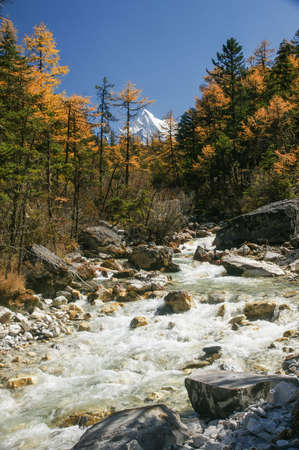 Scenery of Yading in Daocheng county, Sichuan Provinceの写真素材