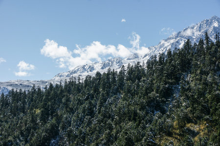 Landscape of Sichuan National Highway in China