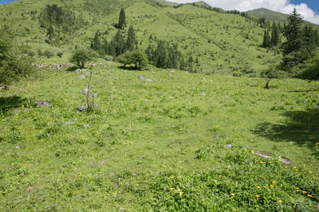 Mt Siguniang,  build gully scenery in Sichuan Chinaの写真素材