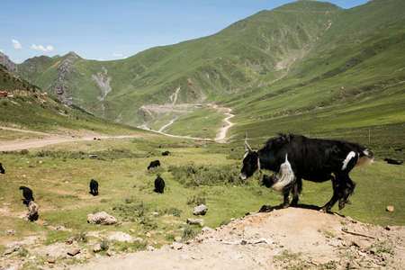 Scenery on the highway in Tibet, Chinaの写真素材