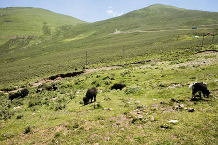 Scenery on the highway in Tibet, Chinaの写真素材