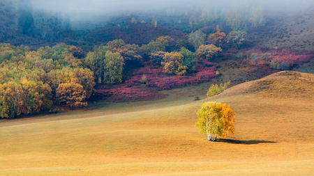 Light and shadowの写真素材