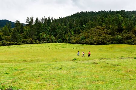 grasslandの写真素材