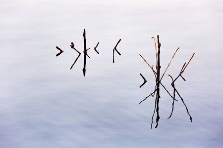 The waterの写真素材