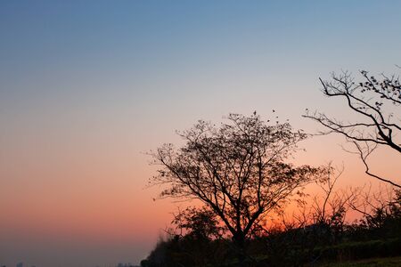 Sunsetの写真素材