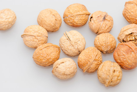 walnutsの写真素材