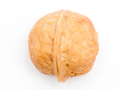 walnut