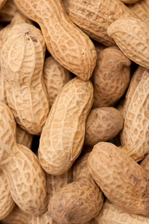 Many peanuts in shells, one upon the other