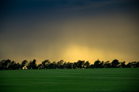 Rape field in sunset on the way to Thisted in Denmark. The rape is still green.の写真素材