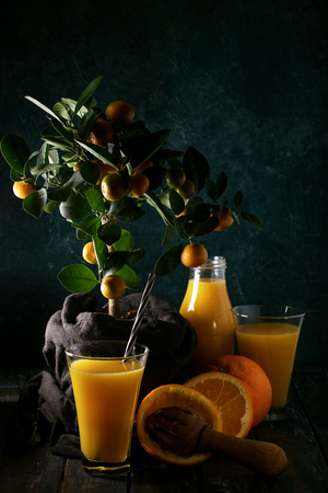 Orange Juice served with oranges and tangerines with a mini-oranges tree on the background. Drink Conceptの写真素材