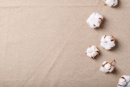Dry cotton flower over brown textile background. Top view, flat lay. Copy spaceの写真素材