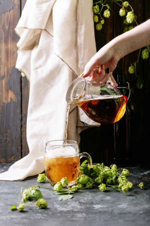 Beer in a glass mug with green fresh hops over dark texture backgrounの写真素材