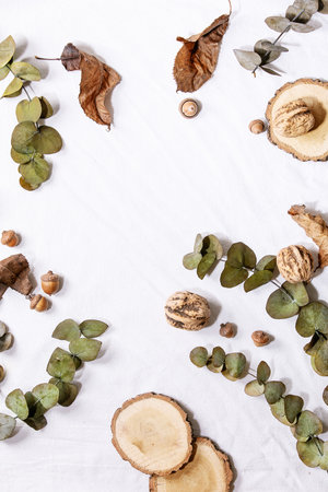 Composition with yellow maple leaves, eucalyptus branches and chestnuts over a white background. Flat lay, copy spaceの写真素材