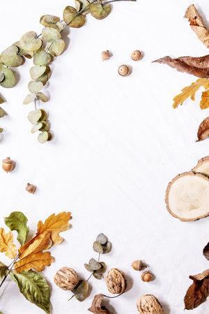 Composition with yellow maple leaves, eucalyptus branches and chestnuts over a white background. Flat lay, copy spaceの写真素材