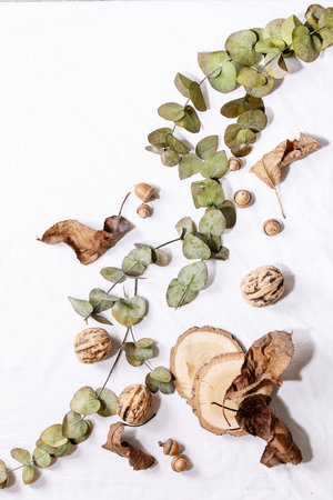 Composition with yellow maple leaves, eucalyptus branches and chestnuts over a white background. Flat lay, copy spaceの写真素材