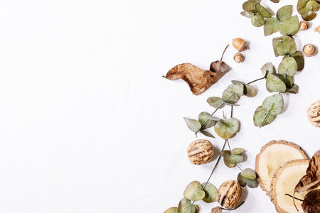 Composition with yellow maple leaves, eucalyptus branches and chestnuts over a white background. Flat lay, copy spaceの写真素材