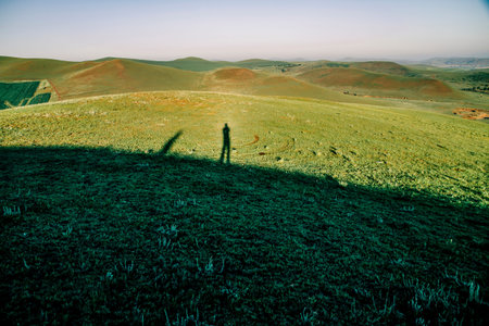 The scenery of bashang grassland