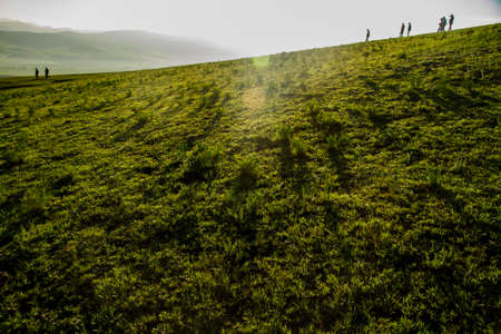 The scenery of bashang grasslandの写真素材