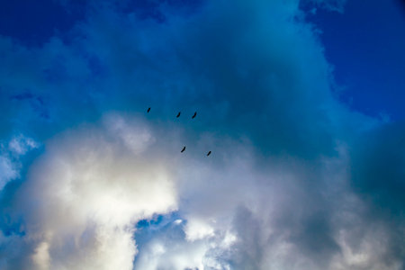 Various forms of clouds