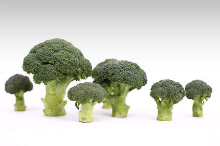 Vegetables on white backgroundの写真素材