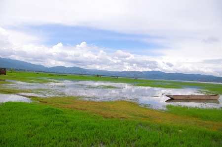 Wetland Parkの写真素材