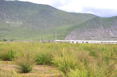 ä¸­å½åææ¯è§のeditorial素材