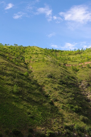 Hillsideの写真素材