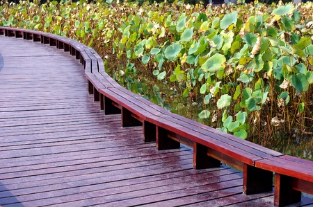 Leaves the corridorの写真素材